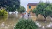 Alluvione Emilia Romagna, gommoni come l'Arca di Noè per salvare pappagalli, cani e gatti