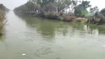 फिरोजाबाद: नहर में डूबने से हुई किशोर की मौत, परिवार में मचा कोहराम