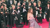 Cannes: Carla Bruni, Cate Blanchett, Natalie Portman sur le tapis rouge
