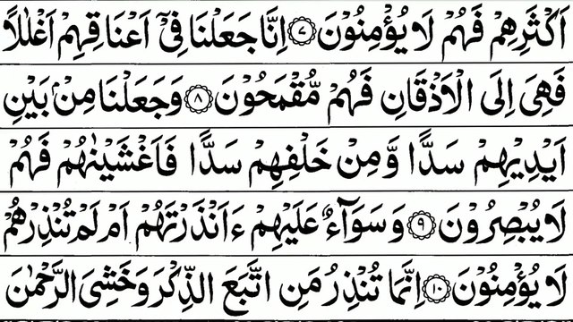 Surah Yasin Yaseen Sheikh Abu Bakr Al Shatri Al Quran Recitation With Arabic Text_1080p