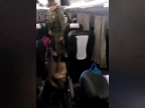 BPFron apreende 12 tabletes de maconha com passageiro de ônibus em Umuarama