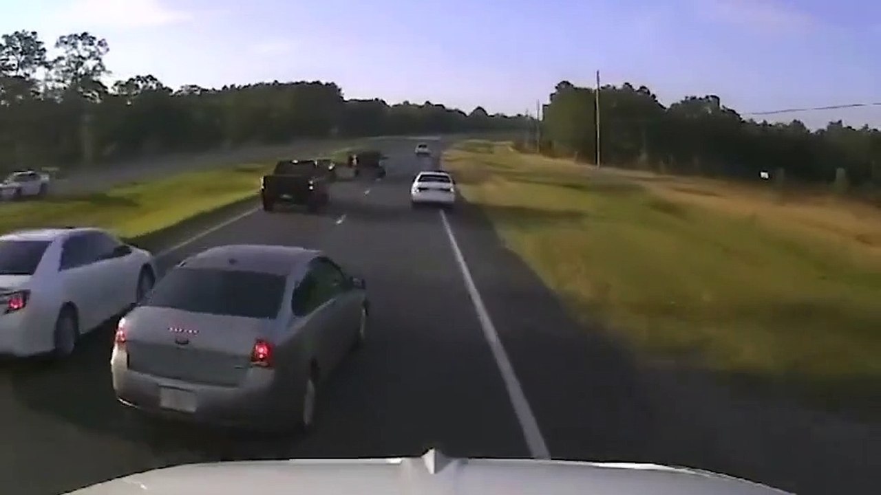 Il s'arrête sur l'autoroute pour sauver une tortue et provoque un accident