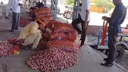 सीहोर: प्याज ने निकाले किसानों की आंख से आंसू, CM को दे दी चेतावनी..