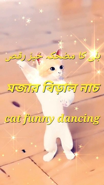cate funny dancing