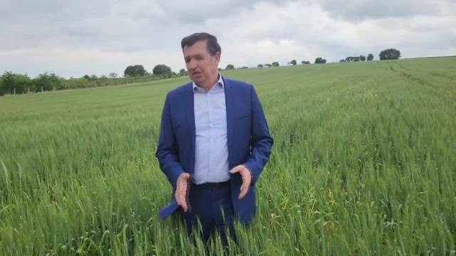 Okan Gaytancıoğlu: Buğday Üreticisi Fiyat Bekliyor