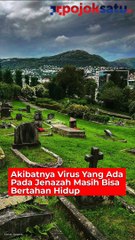 7 larangan paling aneh di dunia