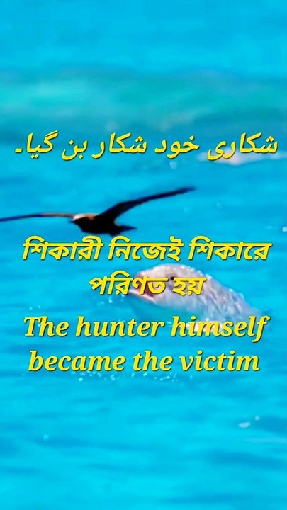 The hunter himself became the victim