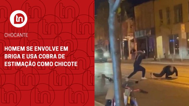 Vídeo: homem se envolve em briga e usa cobra de estimação como chicote