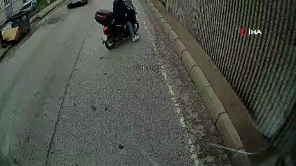 Otobüs şoföründen alkışlanacak hareket: Duvarda mahsur kalan kediyi böyle kurtardı