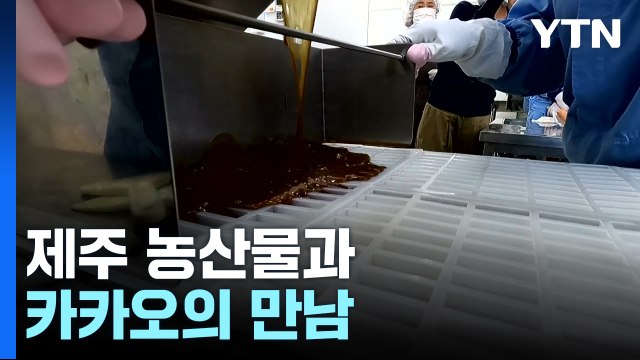 [新농비] 제주 농산물과 카카오의 만남...'수제 캐러멜' / YTN