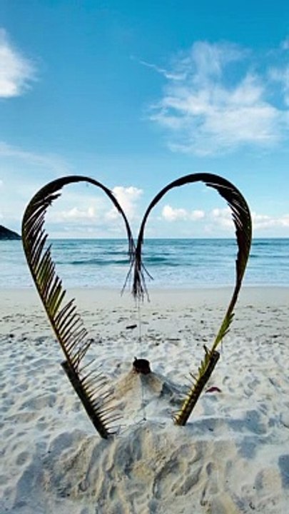 -peggy-anke- beautiful heart