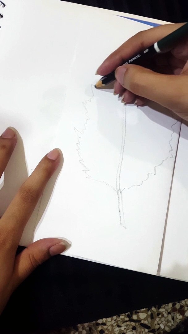⁣Leaf sketching