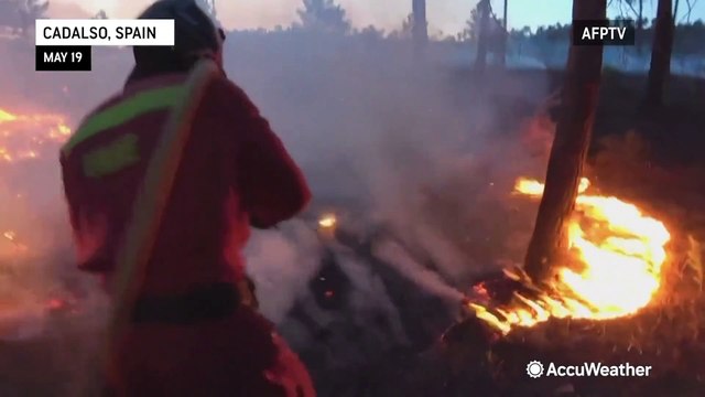 Spanish firefighters battle forest fire