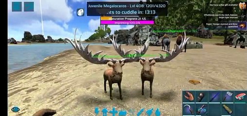 Twins megalacores grow up !! Ark survival evolved