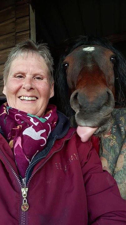 I Can't Tell You How Much I Love This Pony