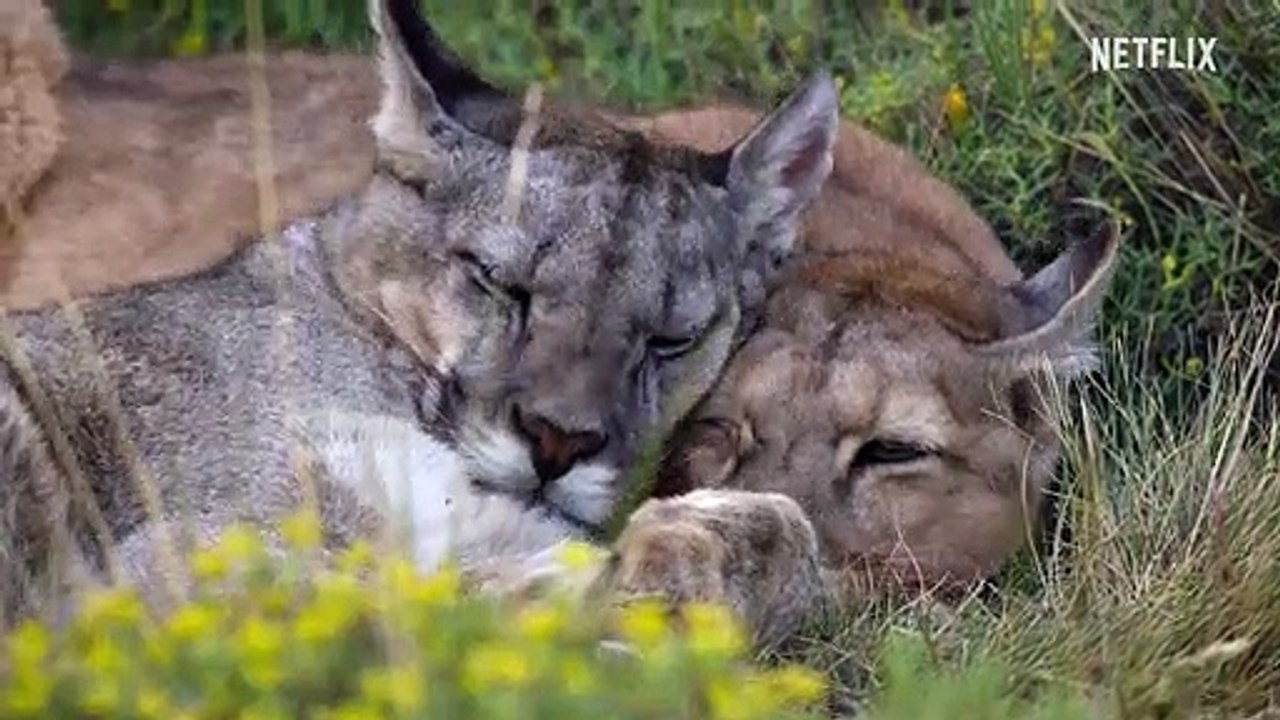 Unser Planet II | show | 2023 | Official Teaser