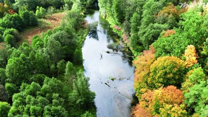 Mindfulness Chanting Music for Clarity