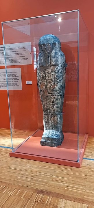 Musée de Grenoble - Département de l'Isère  #isère #cultureisère #musée #culture #france #grenoble   (33)