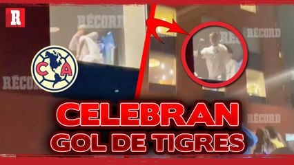 Americanistas CELEBRAN pase de TIGRES a la FINAL