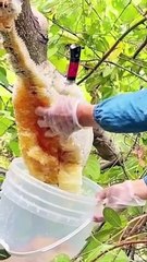 Beautiful voice tilawat and heart touching video