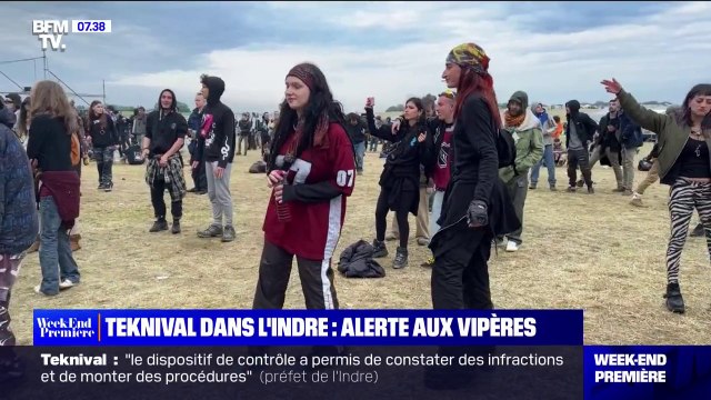 Teknival: des participants blessés par des morsures de vipères