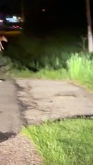 Aider un bébé cerf loin de la route