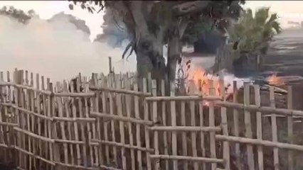 बांका: असामाजिक तत्वों ने आम के बगीचे में लगाई आग, धु धु कर जल गए फलदार वृक्ष