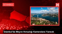 İstanbul'da Meyve Hırsızlığı Kameralara Yansıdı