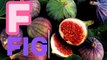abc fruits and vegetableslearn abc with fruitslearn names of fruits | ABC Fruits For Children - Learn Alphabet With Fruits Name | Explore the Alphabet With Fruits! .