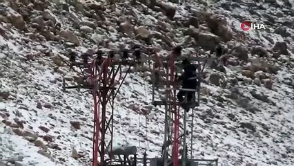 Tam 25 metre yükseklikte! Elektrik işçilerinin zorlu görevi