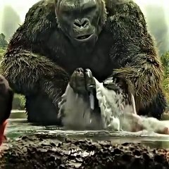 King Kong movie clips #movie #kingkong