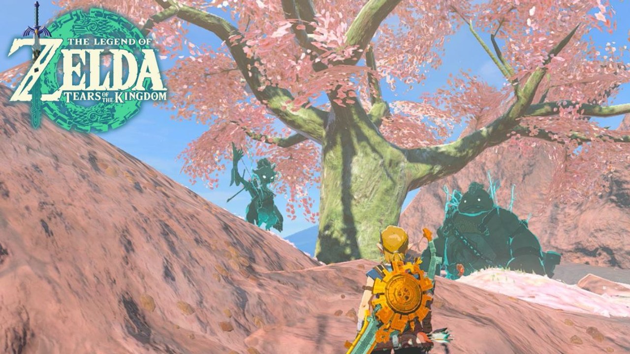 Satori Zelda Tears of the Kingdom : Où trouver tous les cerisiers et à quoi ils servent ?