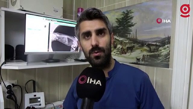 Evcil hayvanınızda bu şikayetler varsa dikkat, ölümle sonuçlanabilir