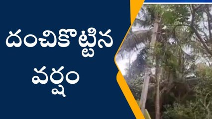 కవిటి: సాయంత్రం వేళ కుమ్మేసిన వర్షం