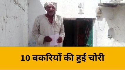 Download Video: महोबा: घर से 10 बकरियां चोरी, अज्ञात चोरों को पकड़ने में जुटी पुलिस