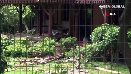 Münevver Karabulut'un vahşice katledildiği villa yıkıldı