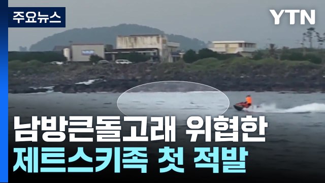 돌고래 위협한 제트스키족 첫 적발...해양생태계법 위반 / YTN