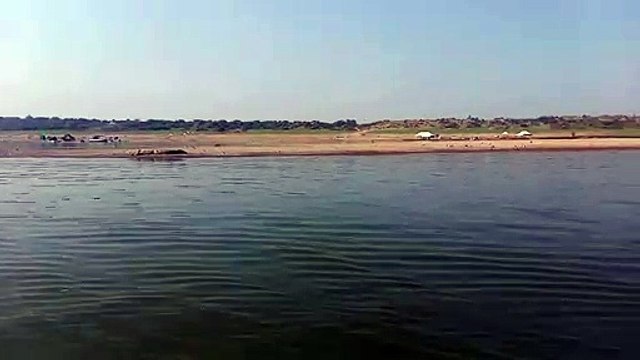 चंबल में मगरमच्छ का शिकार की सूचना पर दिन भर चंबल की खाक छानती रही टीम