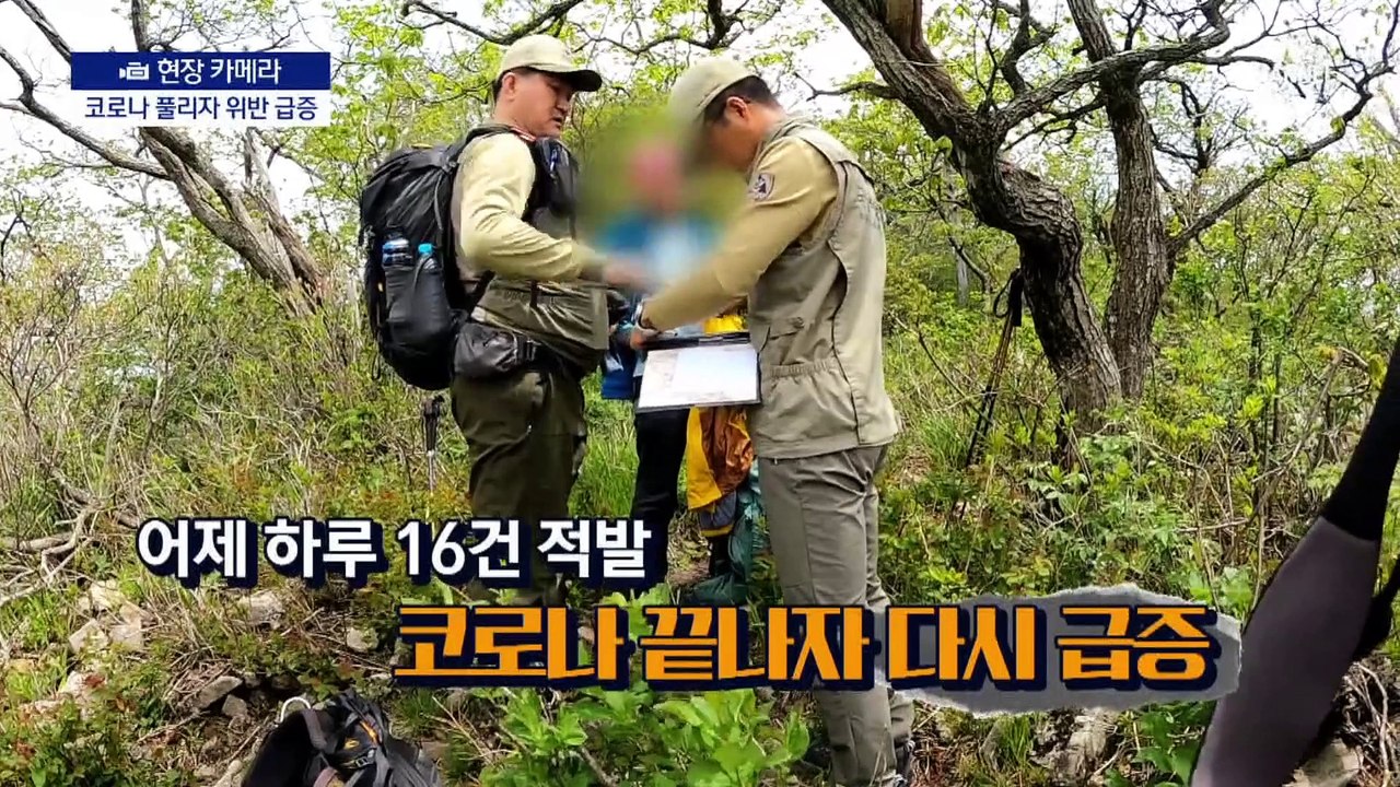 [현장 카메라]숨은 절경 보려 목숨 건 산행…코로나 풀리자 위반 급증