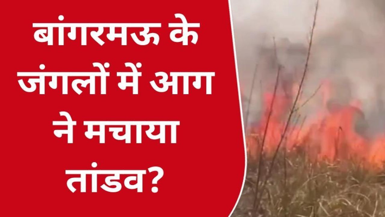 उन्नाव: आग की लपटों ने मचाया तांडव, मीलों तक फैला धुआँ, देखें तबाही का खौफनाक मंज़र