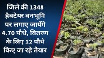टोंक : वर्षाऋतु में वन विभाग पौधरोपण के वितरण के तैयार कर रहा 16 लाख पौधे, देखिए विडिओ