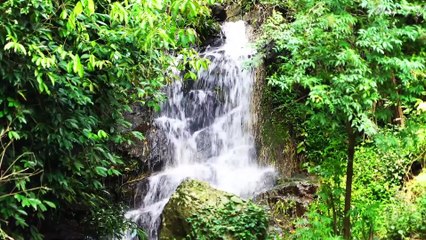 Meditation Music for Deep Relaxation - Calming Zen Soundscape