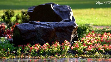 Sleep Music for Insomnia - Peaceful and Calming Ambient Music