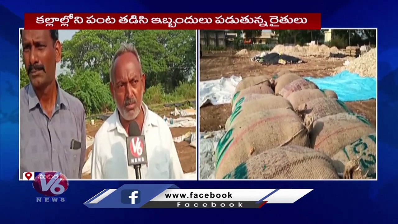 Maize Crop Damaged Due To Heavy Rains In Khammam _ Farmer Problems _ V6 News (1)