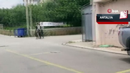 Antalya'da küçük çocukların araba sürme sevdası iş yerinin duvarında son buldu