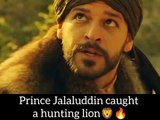 Prince Jalaluddin caught a hunting lion|Turkish Drama Serial|Amazing Seen