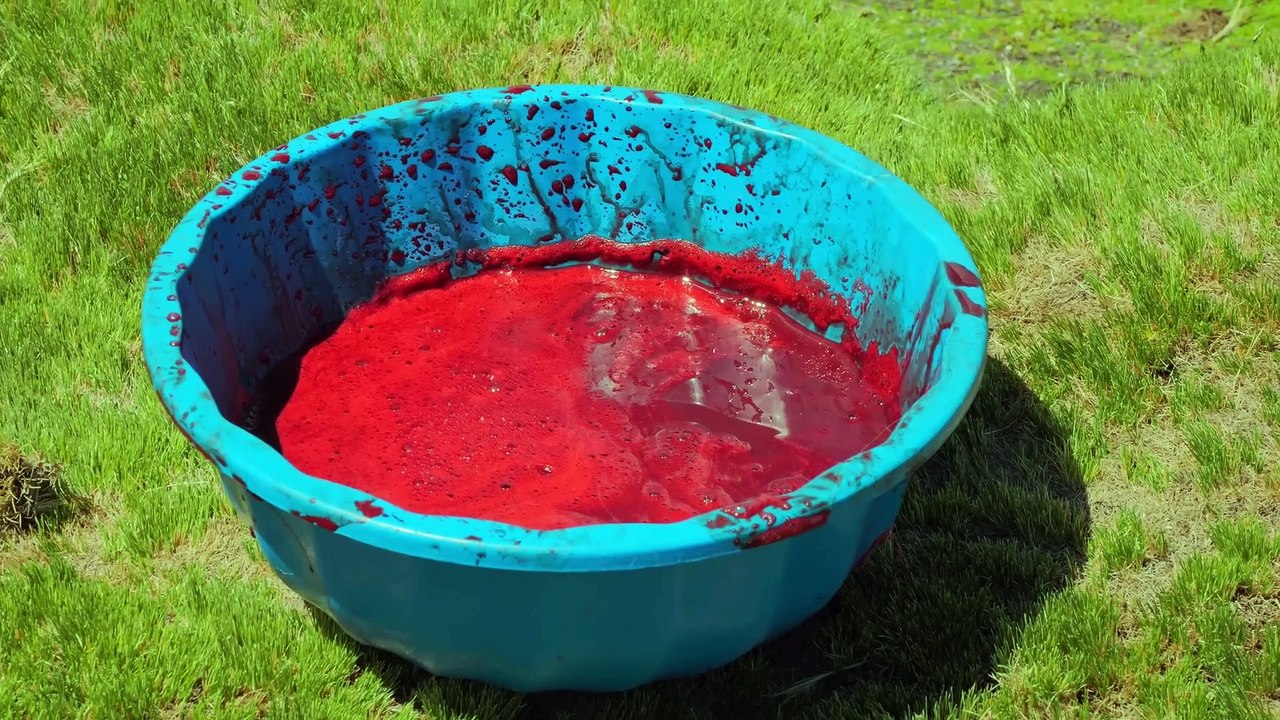 Extreme Andes!! Whole Alpaca Served SIX Ways in Peru!!