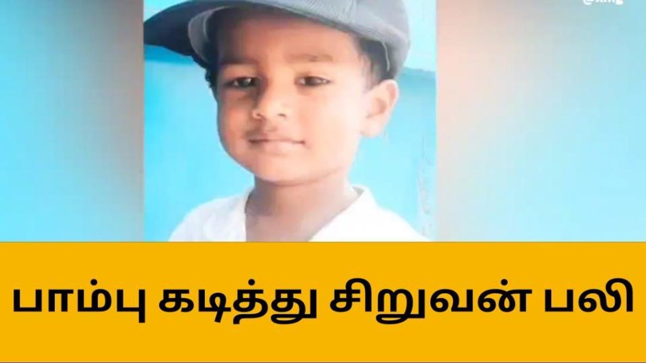 தூத்துக்குடி: பாம்பு கடித்து சிறுவன் பலியான சோகம்
