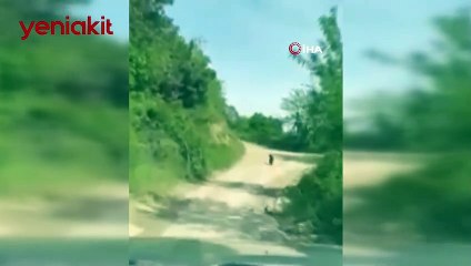 Yolda ilerlerken bir anda karşısında çıktı! Hemen telefona sarıldı