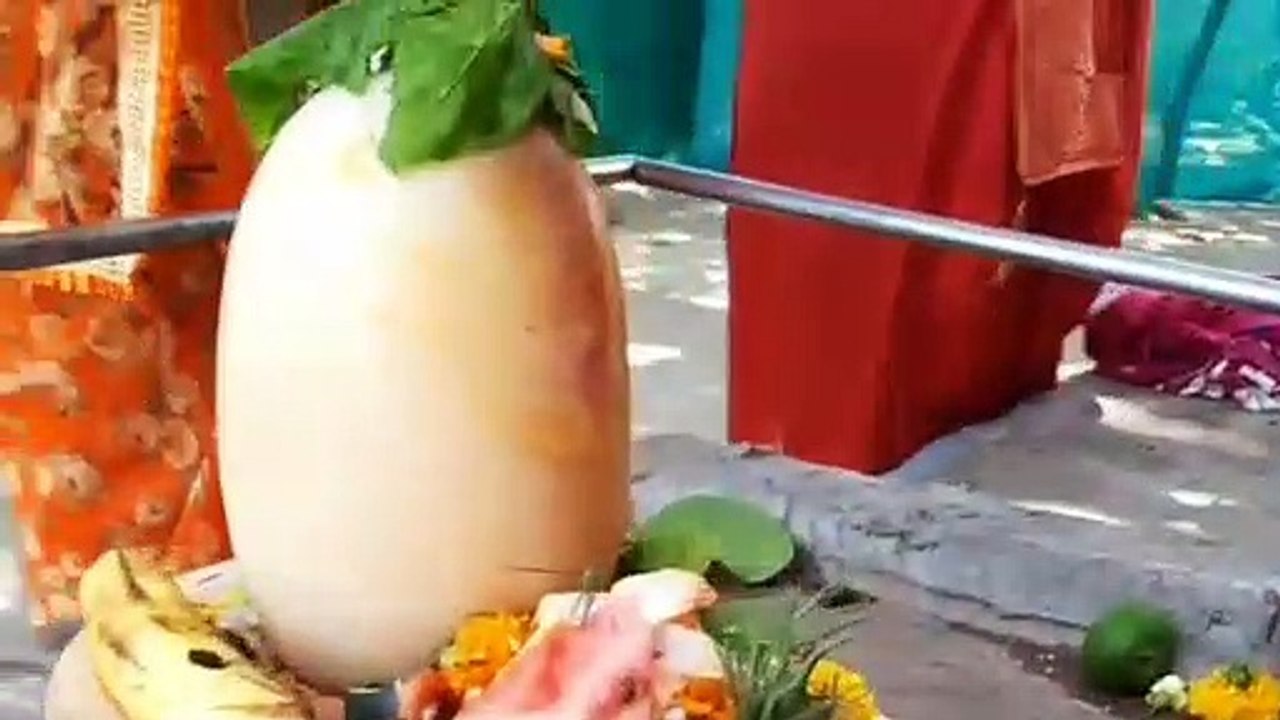 महिलाओं ने पति की दीर्घायु के लिए वट वृक्ष में बांधा कलावा